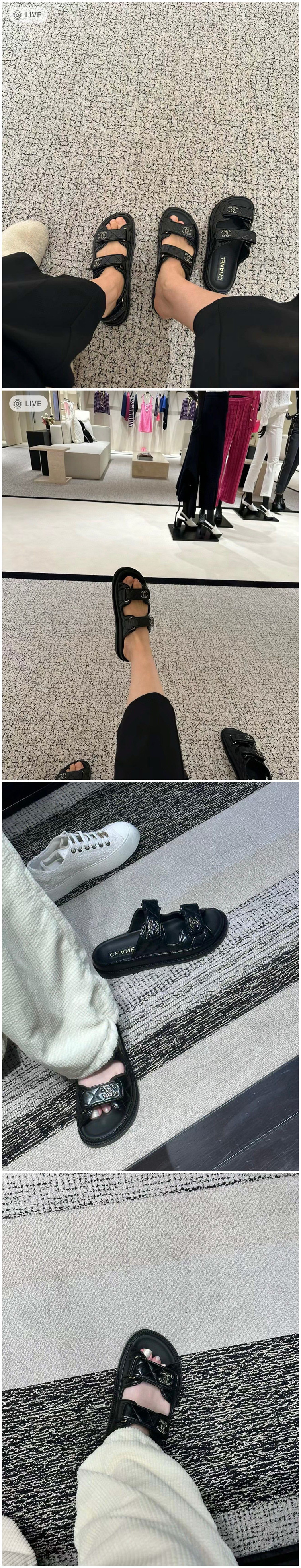 81.jpg