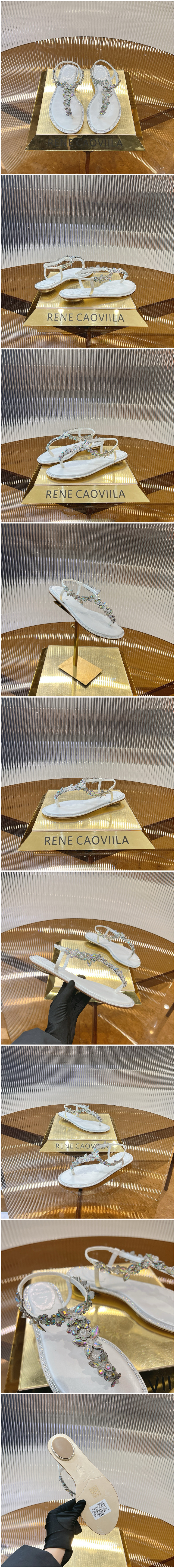 548.jpg