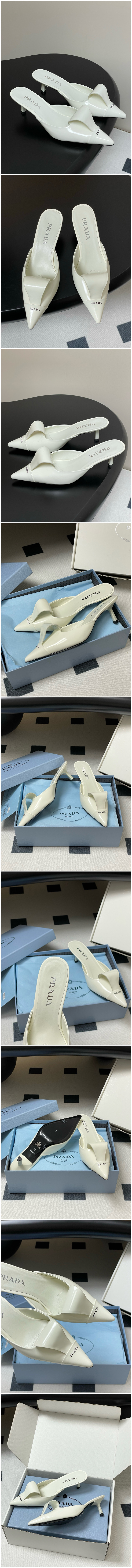 558.jpg