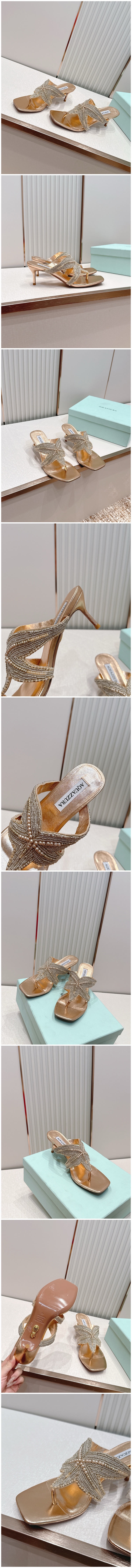 331.jpg